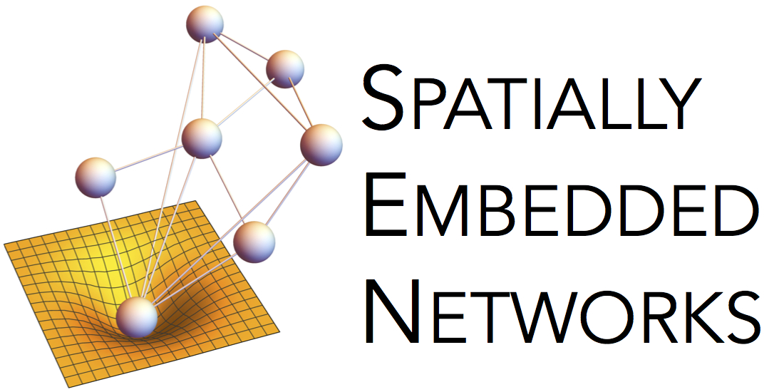 Spatially Embedded Networks logo