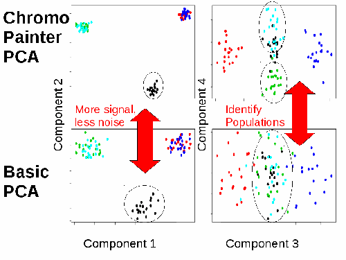 finestructure pipeline