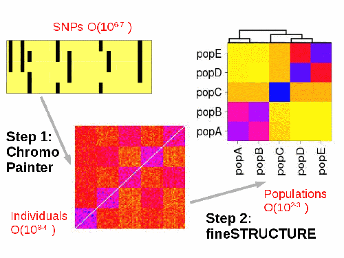 finestructure pipeline